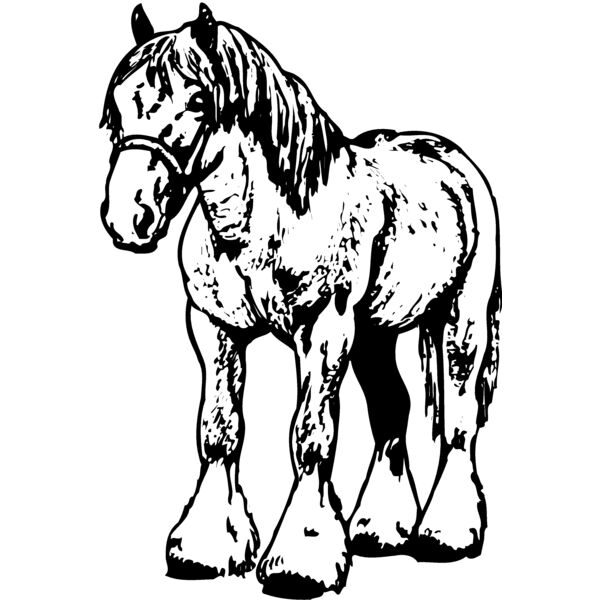 HORSE035 Miniaturansicht