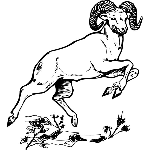 RAM014 Miniaturansicht