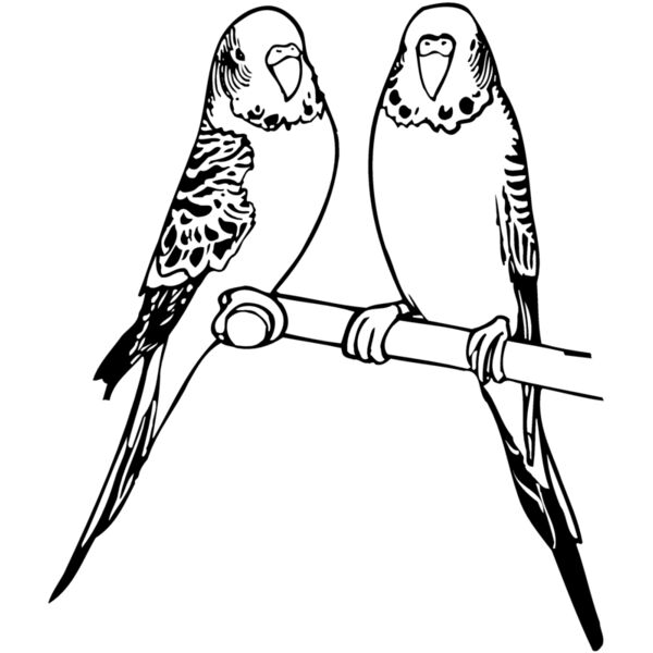 BIRD014 Miniaturansicht