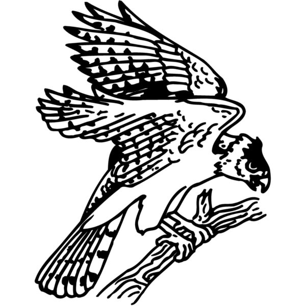 EAGLE027 Miniaturansicht