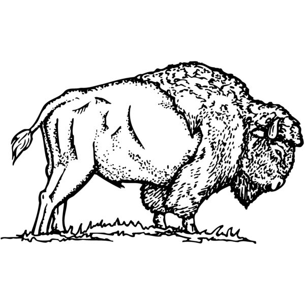 BUFF009 Miniaturansicht