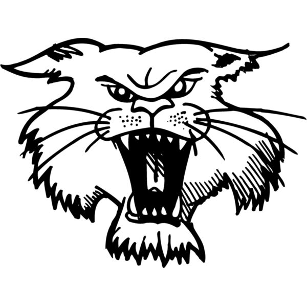 CAT01 Miniaturansicht