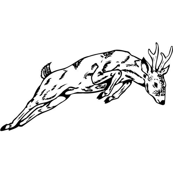 DEER020 Miniaturansicht