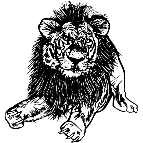 LION005 Miniaturansicht