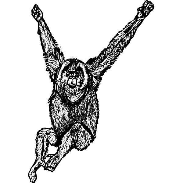 MONK005 Miniaturansicht