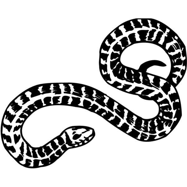 SNAKE009 Miniaturansicht