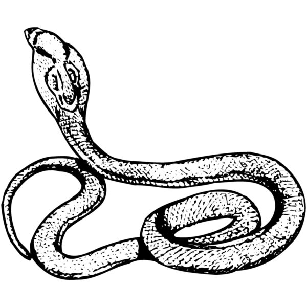 SNAKE014 Miniaturansicht