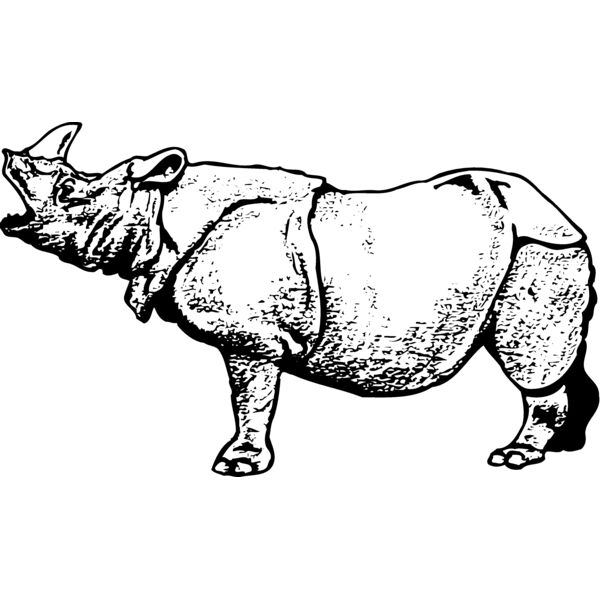 RHINO003 Miniaturansicht