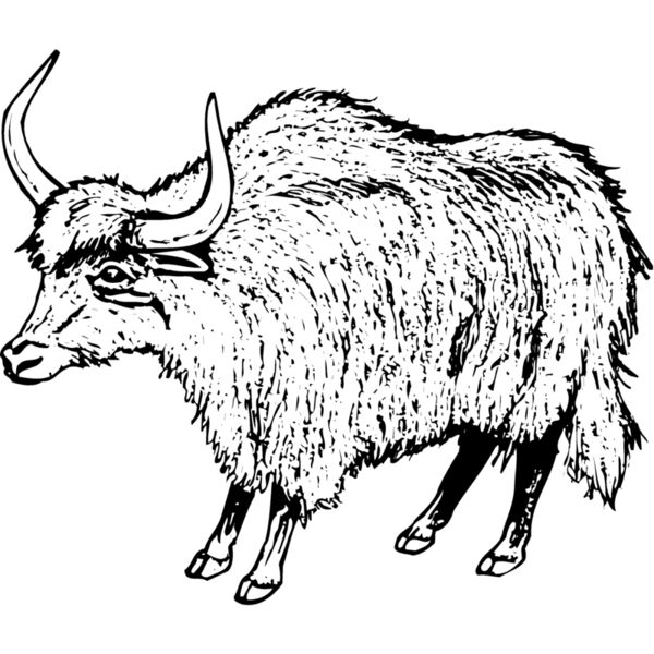 WBUFF004 Miniaturansicht