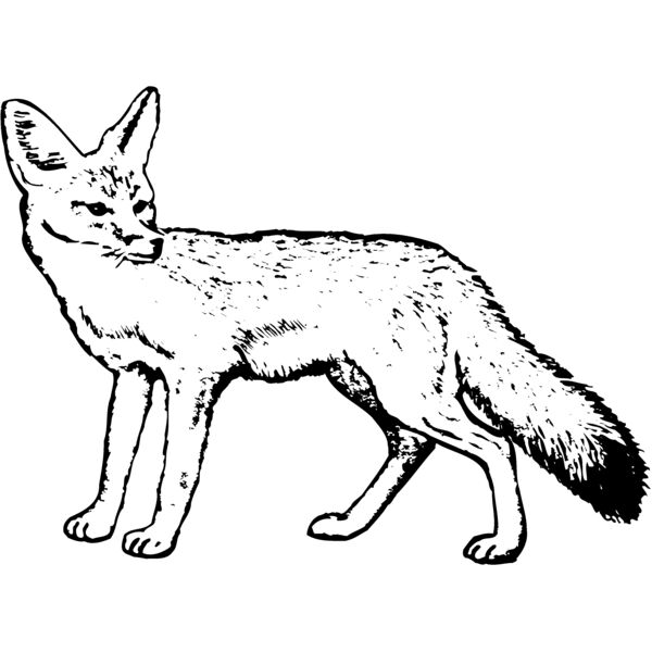 F_W011 Miniaturansicht