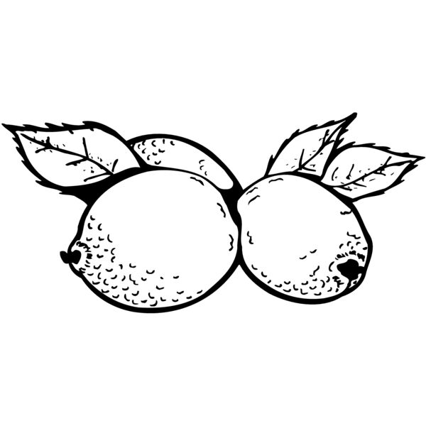 FRUIT036 Miniaturansicht