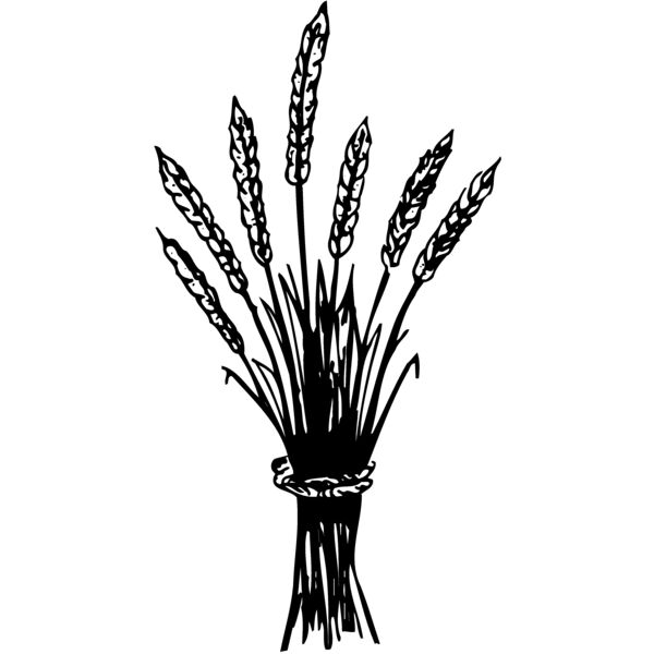 GRAIN008 Miniaturansicht