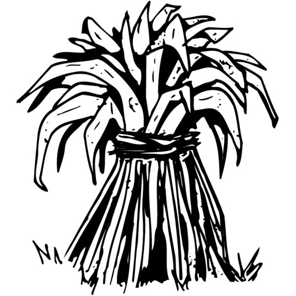 TKSGVNG3 Miniaturansicht