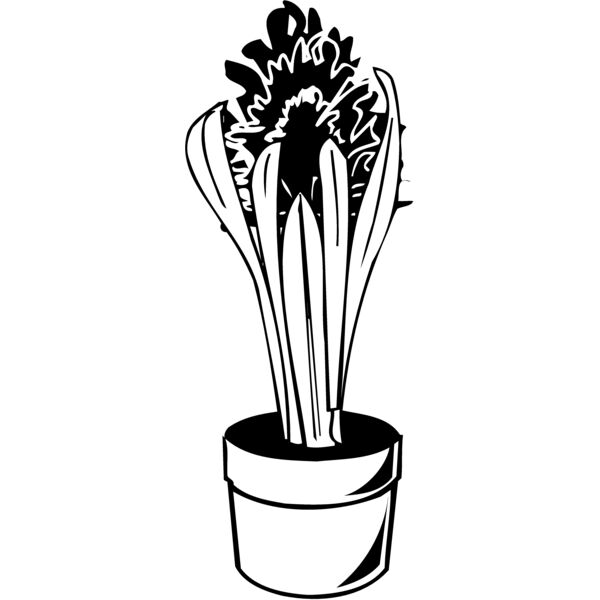 PLANT07 Miniaturansicht