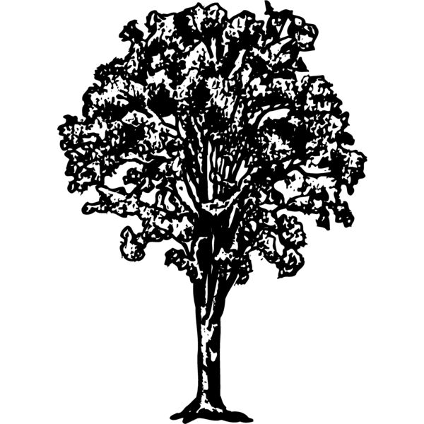 TREE0015 Miniaturansicht