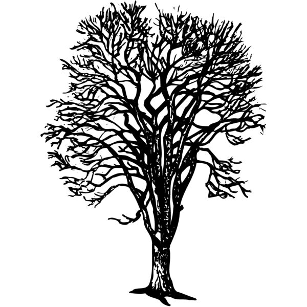 TREE0022 Miniaturansicht