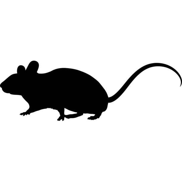Mouse   Clipart 1 Miniaturansicht