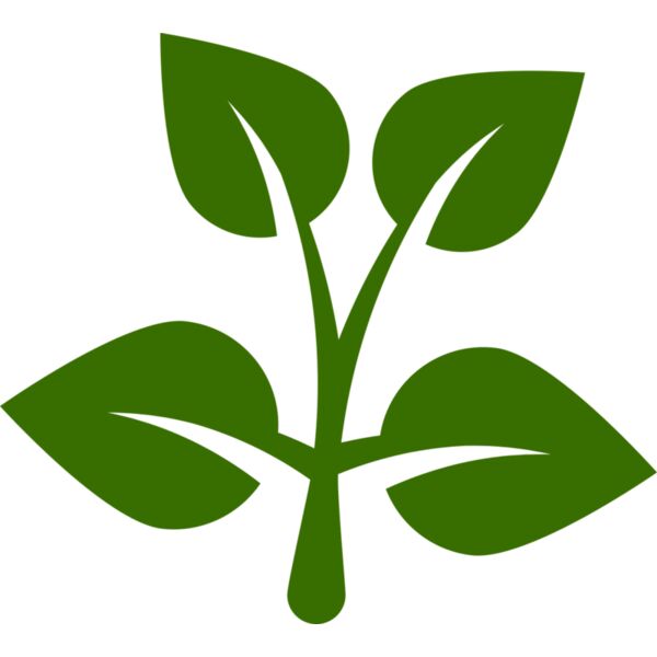 15 Leaves Miniaturansicht