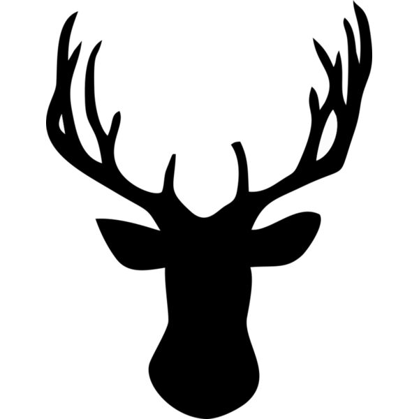 Hirsch Geweih Miniaturansicht