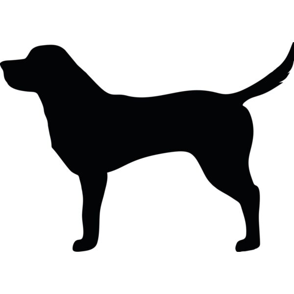 Hund Miniaturansicht