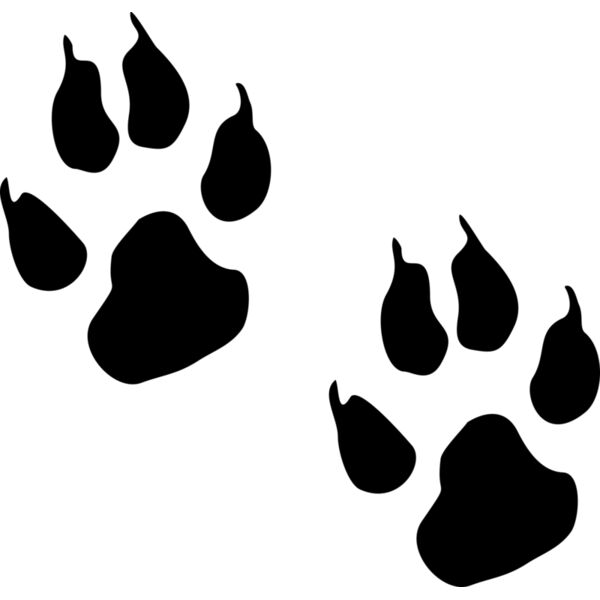 Fußabdruck Spur Wild Wolf Pfoten Miniaturansicht